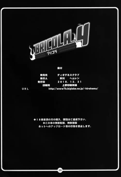 Page 26 of BRICOLA 4