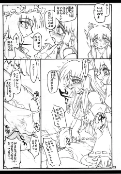 Page 28 of Reimu