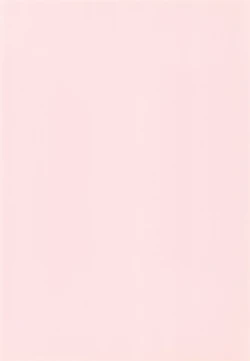 Page 3 of PinSaRobot Natusmi-chan