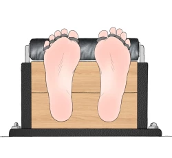 Page 290 of 子贡橙子