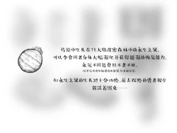 Page 30 of 子贡橙子