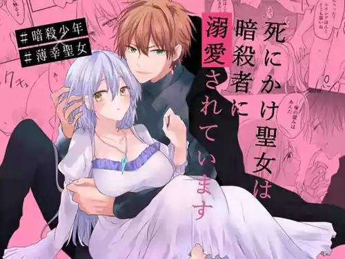 Download shinikake seijo wa asashin ni dekiai sa rete imasu | 濒死圣女被暗杀者溺爱