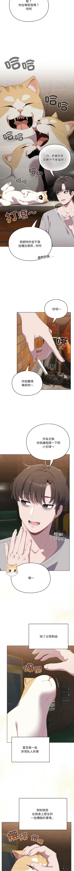 Page 12 of 喵来的恋爱 | 喵來的戀愛 1-5