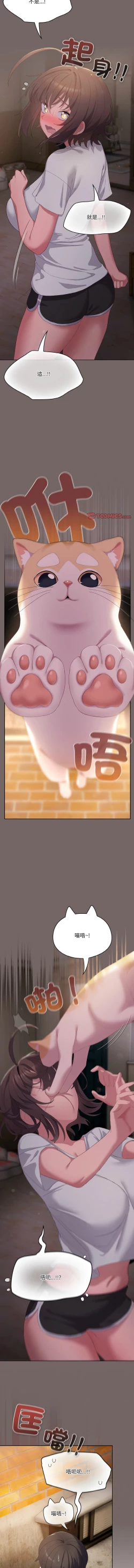 Page 53 of 喵来的恋爱 | 喵來的戀愛 1-5