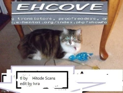 Page 36 of Toaru Souchou no Jouji