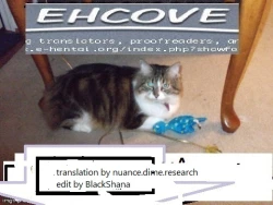 Page 25 of Wakarase Rumia-chan | Correcting Rumia