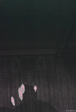 Page 17 of 崩壊スターレイルまとめ本（Chinese）