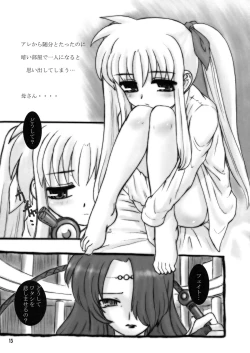 Page 15 of Nano Para 3