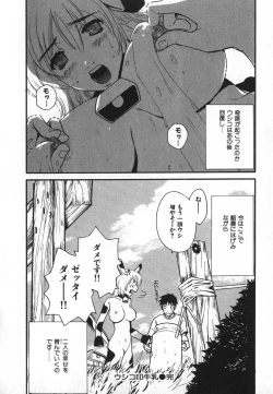 Page 145 of Pirontan 21