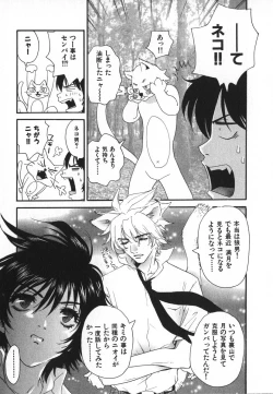 Page 44 of Pirontan 21