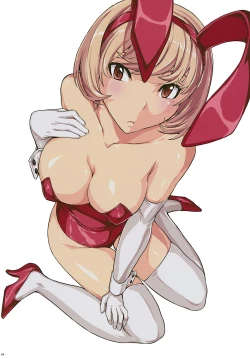 Page 3 of Nikuyoku Aoki Jou