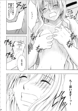 Page 245 of Sephiria Hard Soushuuhen