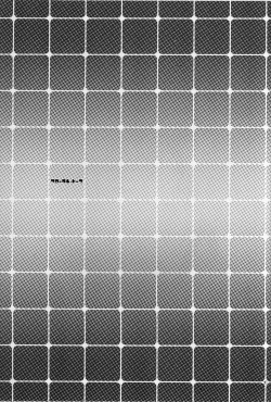 Page 36 of Floral Talk