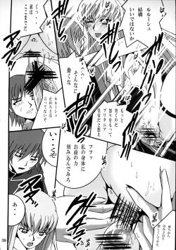 Page 29 of Nightmare of Geass