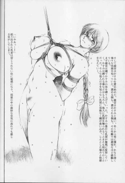 Page 14 of Contrapost