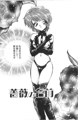 Page 42 of Kutsuu no Daishou