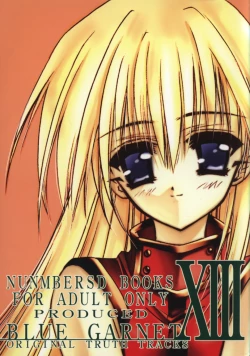 Page 1 of BLUE GARNET XIII SILENCE