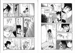 Page 14 of Physical Flapper