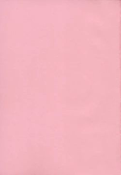 Page 191 of Onaho to Omocha to Costume