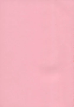 Page 4 of Onaho to Omocha to Costume