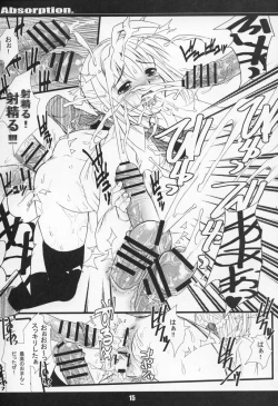 Page 14 of Absorption