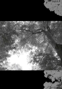 Page 3 of Genkai Shojo