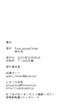 Page 21 of Touhou Under the Shrine