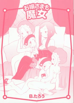 Page 2 of Ojousama mo Majo