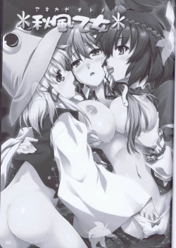 Page 3 of Akikaze Otome