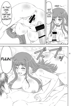 Page 13 of Shinnyuu Musou