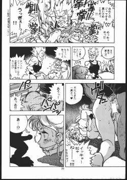 Page 29 of RENGE ver.2