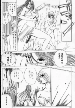 Page 111 of MAJESTIC ASSALT