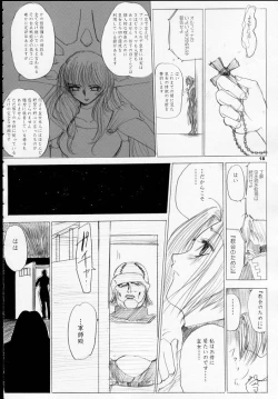 Page 17 of MAJESTIC ASSALT