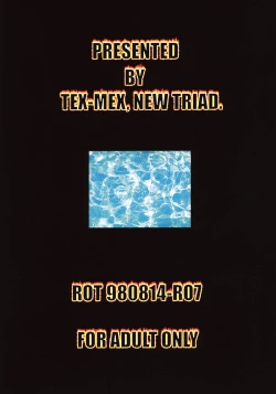 Page 53 of Ground Zero