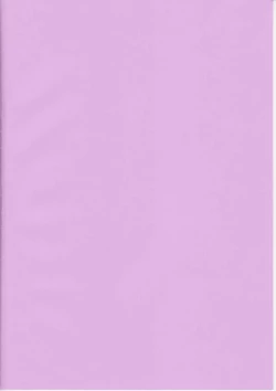 Page 2 of Bitch Spoiler