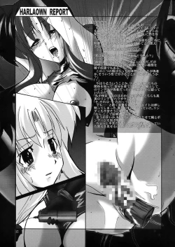 Page 19 of HARLAOWN REPORT