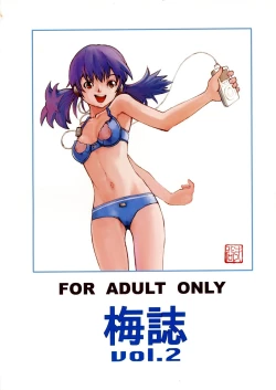 Page 2 of Umeshi Vol. 2