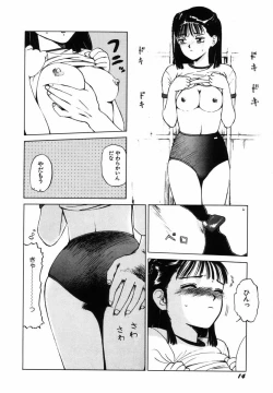 Page 17 of Sho Taiken Hakusho Joukan