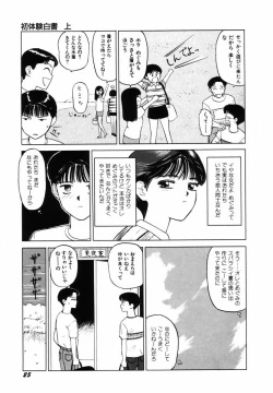 Page 28 of Sho Taiken Hakusho Joukan
