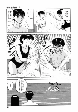 Page 32 of Sho Taiken Hakusho Joukan