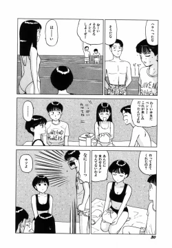 Page 33 of Sho Taiken Hakusho Joukan