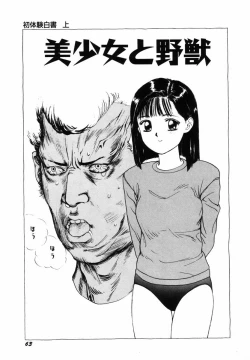 Page 66 of Sho Taiken Hakusho Joukan