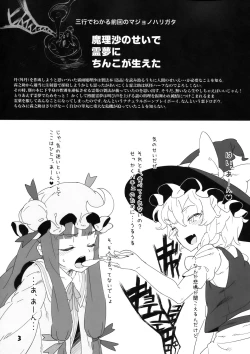 Page 3 of D.P.C.H.C.N.H. hon