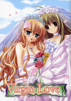 Download Virgin Love