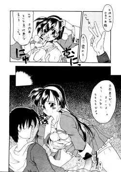 Page 17 of Sincron Maximum