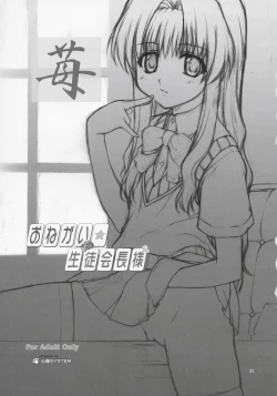 Page 2 of Onegai Seitokaichousama