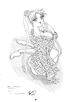 Page 29 of HABER 8 SILVER MOON