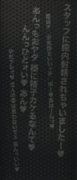 Page 4 of Hitozuma Announcer Nama-Honban