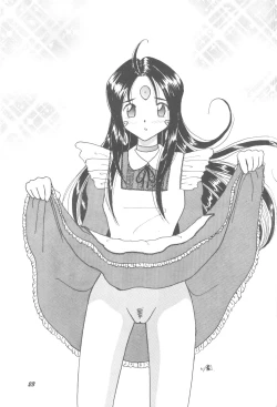 Page 22 of HOHETO 33