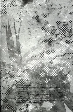 Page 3 of The Beasts Party